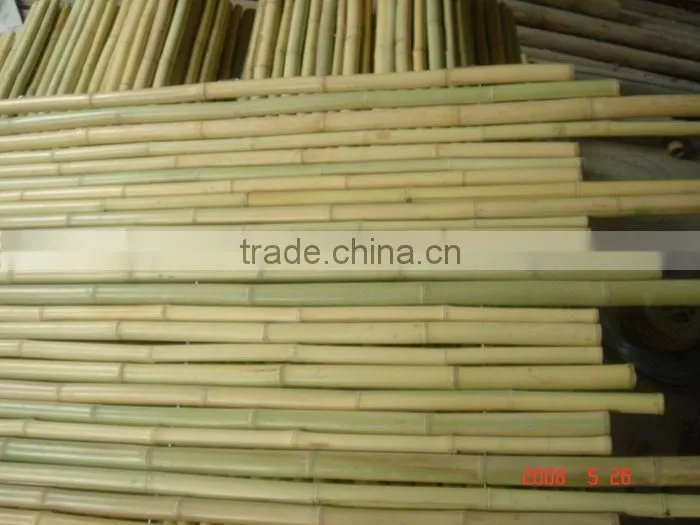 Tonkin Bamboo Cane/Cane Bamboo/Bamboo Pole