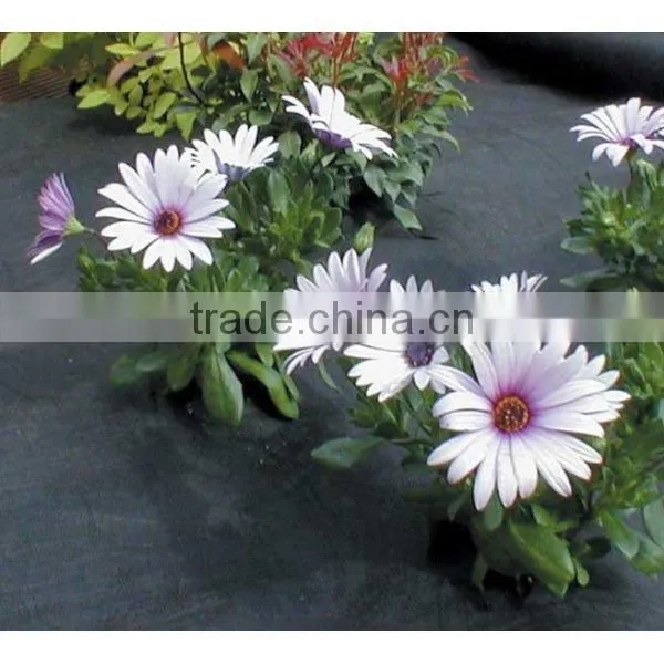 PP Non-woven Weed Stop Fabric