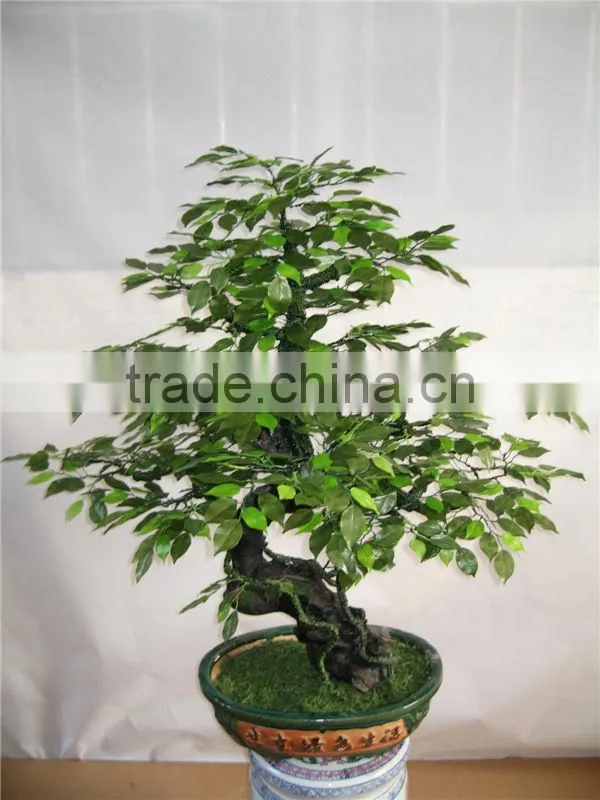 1.6 m tall artificial green banyan poinsettia bonsai flower tree plant RP002