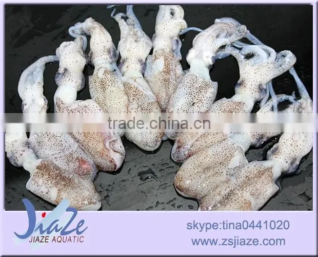 zhoushan sea caught frozen baby squid