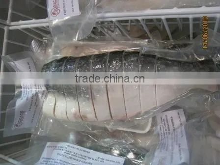 frozen pangasius steak/ Basa Fillet/ Frozen Pangasius Fillet/ Frozen Pangasius Whole/Frozen Pangasius Rose/ Frozen Fish Fillet