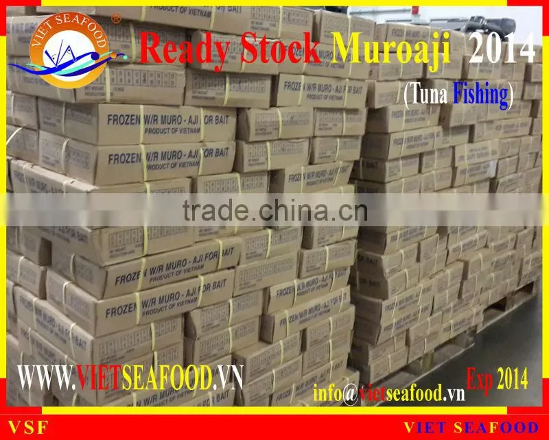 READY STOCK FOR SUPPLY MUROAJI FOR TUNA BAIT