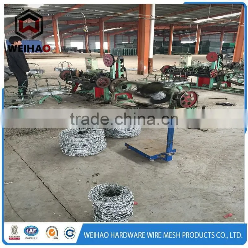 High quality electro galvanized wire