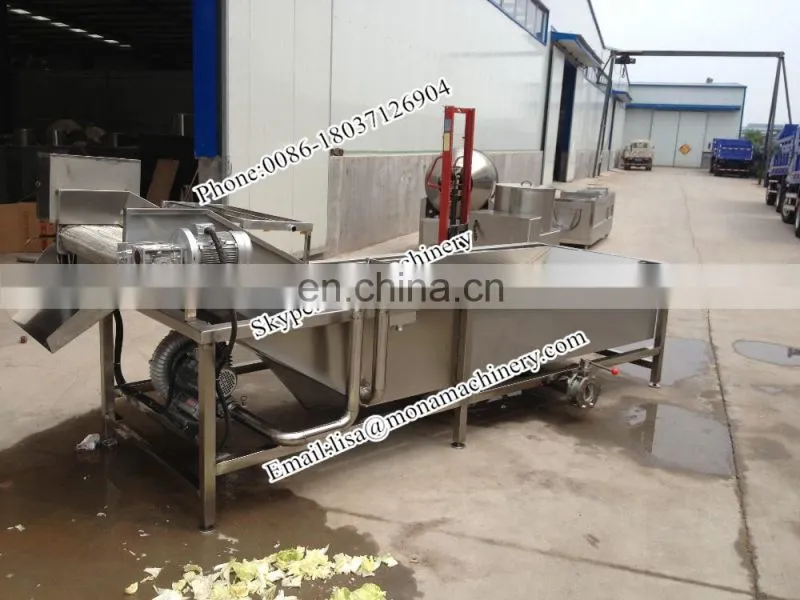 fruit processing industrial vegetable and fruit washing machine