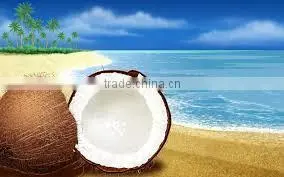 Fresh vegetables from asian countrt