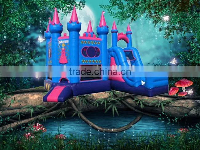 NewPoint high quality cheap inflatable combo for sale