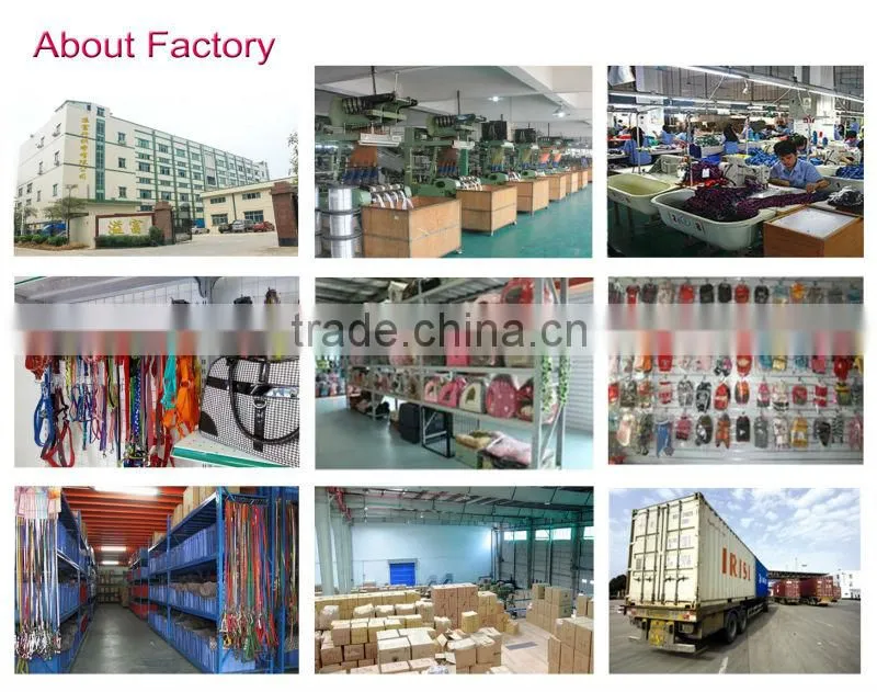 Polyester Webbing, Polyester Strap, Tubular Polyester Webbing