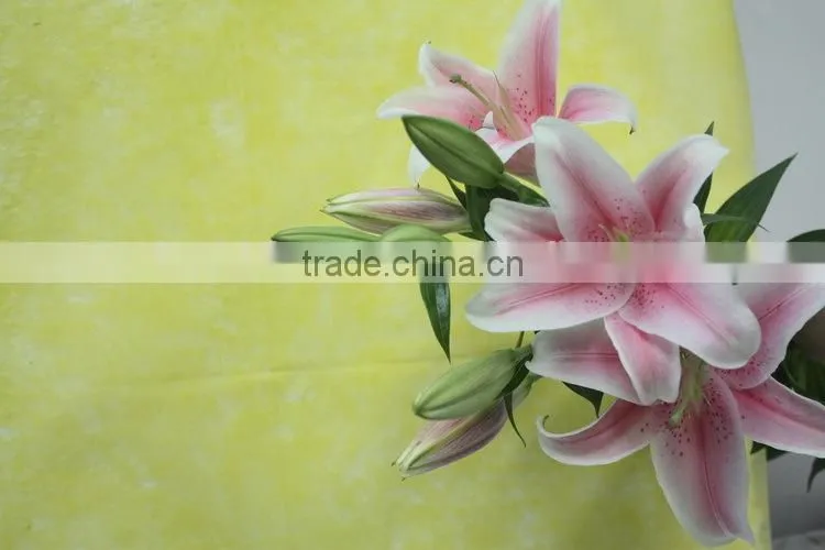 Colorful best selling high quality flowers liliess