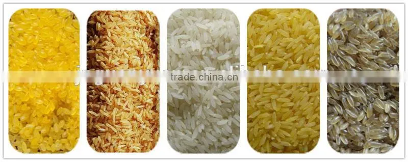 Artificial Rice/Nutritional Rice/Reconstituted Rice Making Machine/Equipment/Production Line