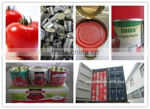 TLV 425g canned thickness tomato puree with birx 28%~30% manufacturer