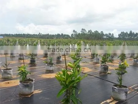 anti-weed fabric, textile,geotextile