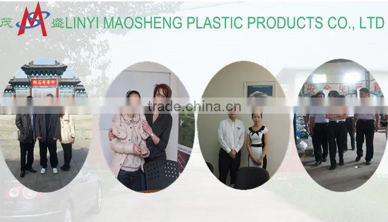 pp leno mesh bag for oranges and agriculture use