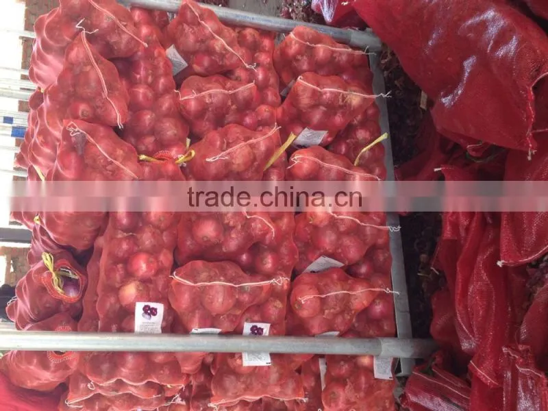 New and bulk crop onion