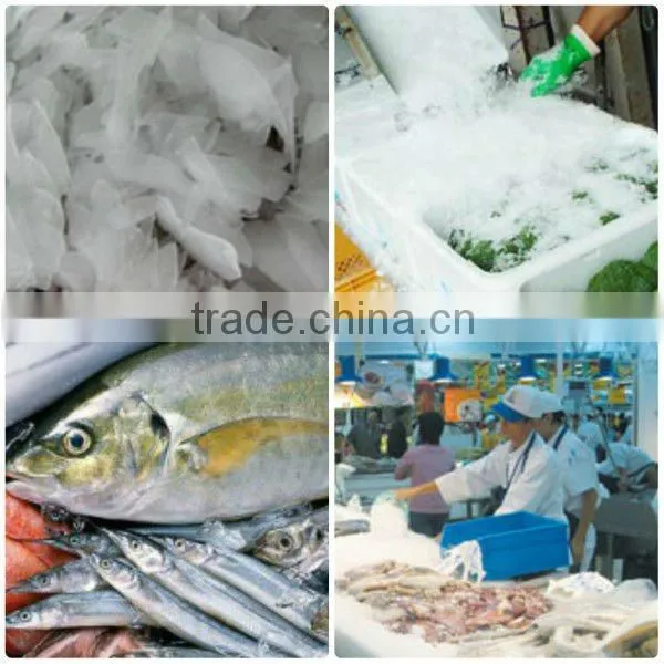 Best Quality Flake Ice Machinery For Morocco
