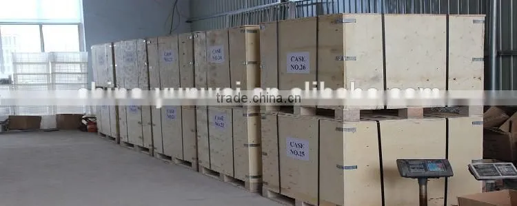 China Manufacturer Precision Stainless Steel Duplex Strainer