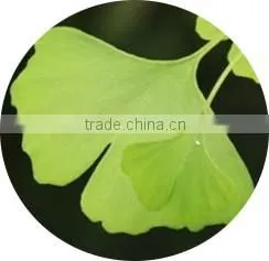 Natural detox and cleansing tea slim fit green tea slimming tea for weight loss