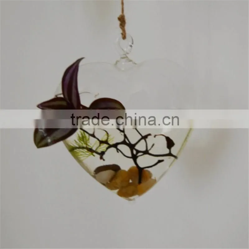 Hanging Vase Of Transparent Glass Landscape Water Succulents Simple Love Arts And Crafts Ornaments