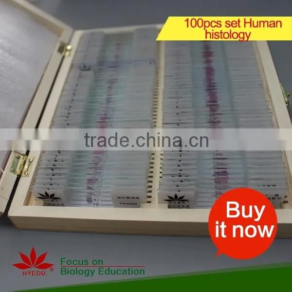 Butterfly w.m. Slides, Glass Prepared Slides,Butterfly mouthpart Prepared Slides