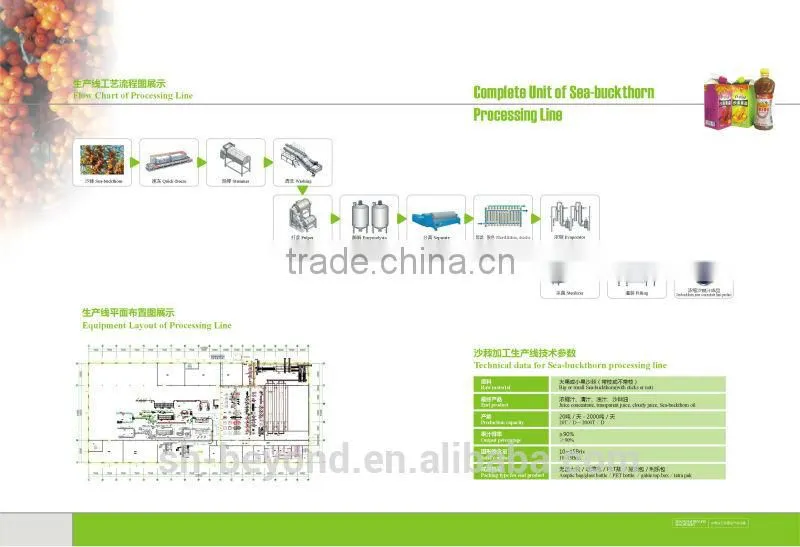 Sea Buckthorn fruit juice processing line