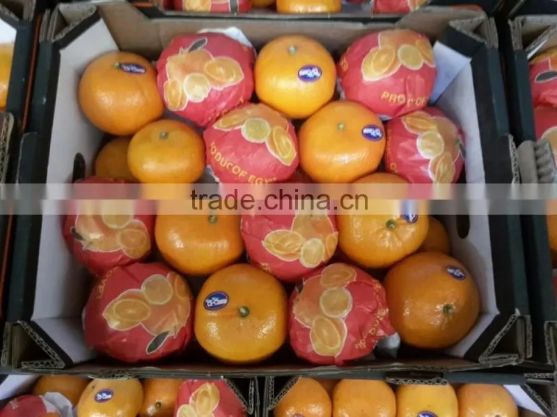 Avilable MOQ of Oranges and Lemons @ Forwell