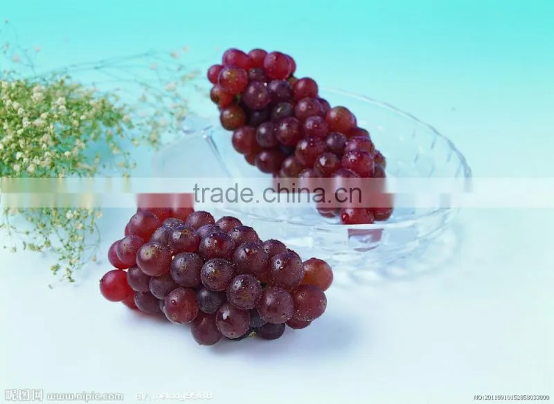 High-quality Sprayed-Dried Grape Juice Fruit Powder Vitis vinifera for Food and Beverage