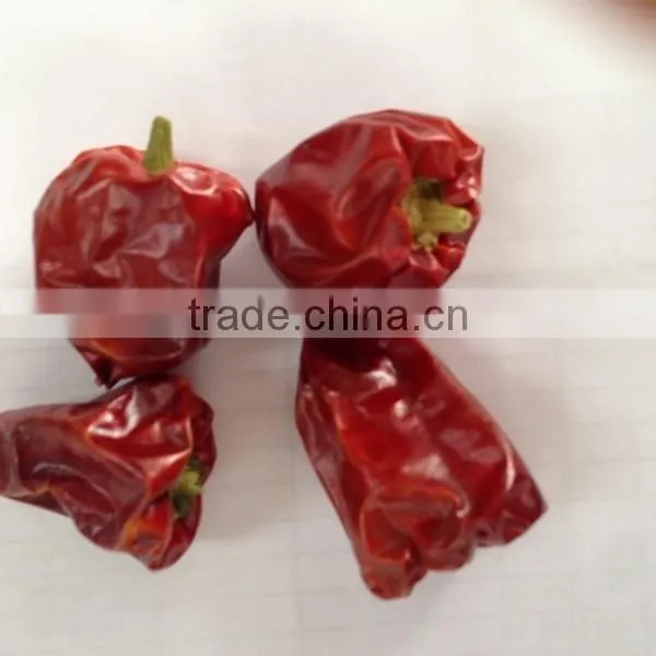 Cute dried red whole lantern chilli