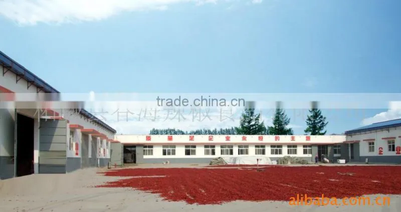 Cute dried red whole lantern chilli