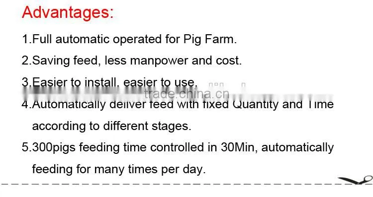 Pig Farm Automatic Feeding System Pig Poultry Feed delivery line
