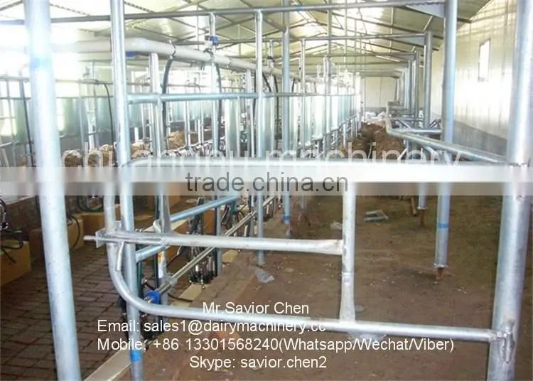 Dairy Farm Electronic Milking Parlor System For Cow