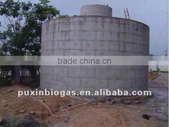 Low cost and big size PUXIN biogas plant for electricity generation