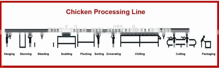 Small Poultry Slaughter Line Poultry Processing Equipment Evisceration table