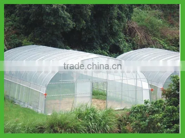 multi span green house from big greenhouse manufacturer in China