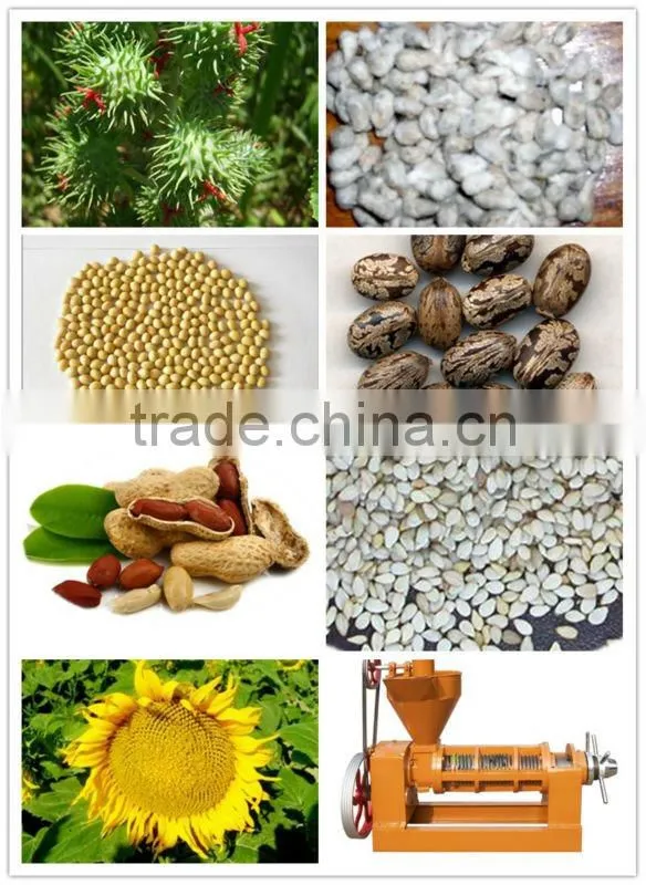 Economical and practical screw oil press machine