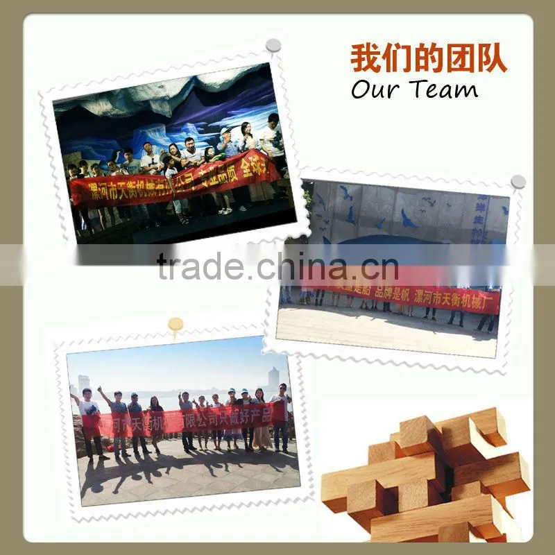 bulk production large capacity bucket elevator for rice