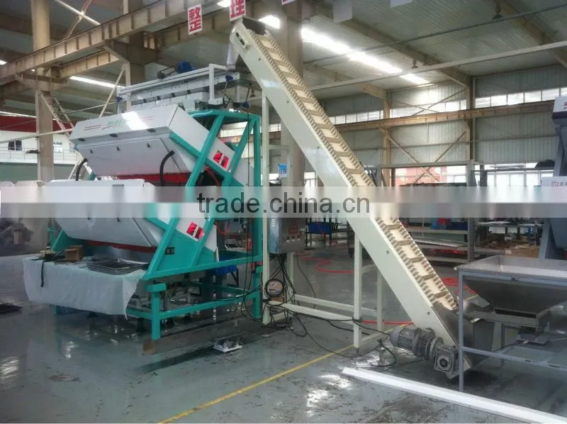 Orthodox CTC Black Tea Color Sorting Machine