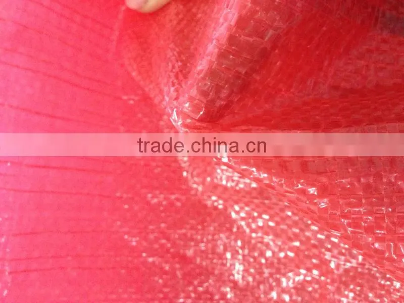 PP Woven Potato Bag
