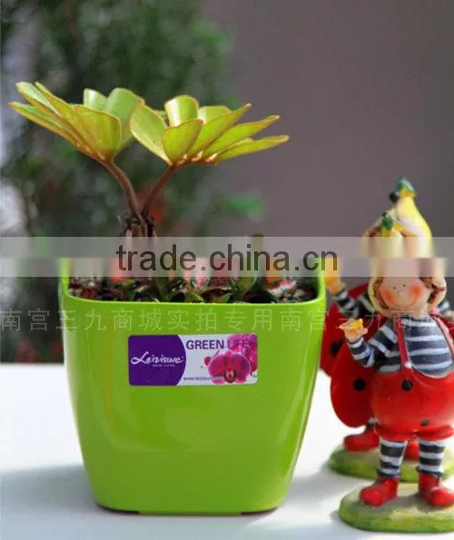 plastic+net+pots