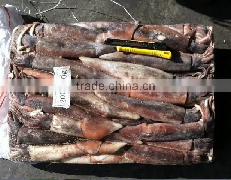 200-300g Whole Round Frozen Illex Squid