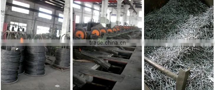 Manufacturer Supply Coil Nail Making Machine