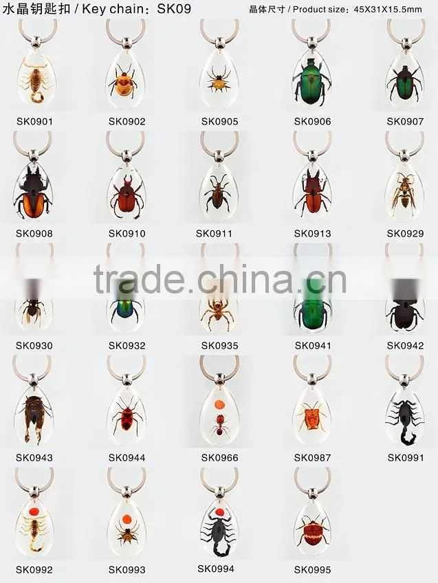 Real insect keychain with scorpion