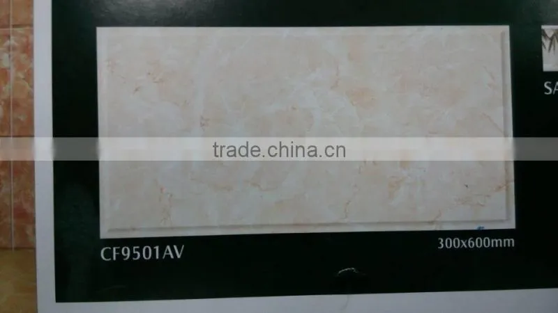 foshan hot design ceramic tile,border tile,washroom tile