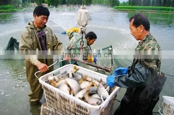 reduce ammonia nitrogen /nitrite with bacteria