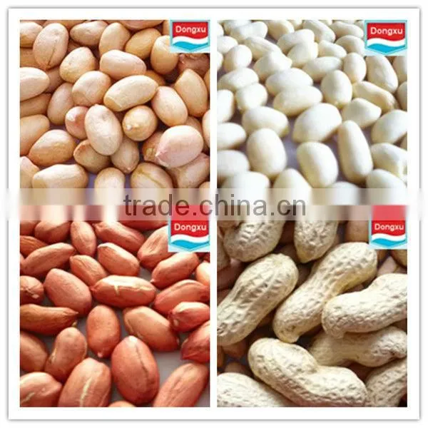 high quality peanut