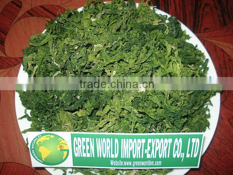 SEAWEED_ULVA LACTUCA LEAVE_HIGH QUALITY _ GOOD PRICE