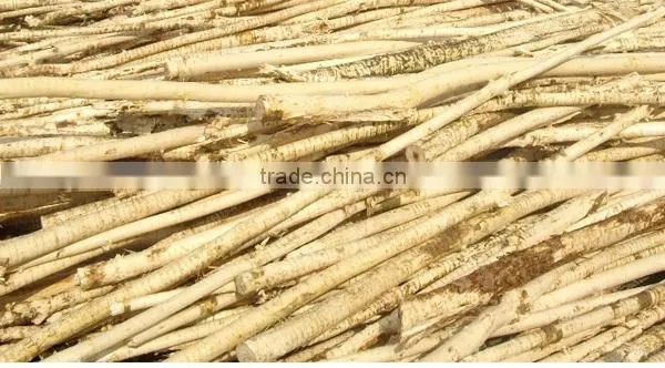 Easy operation automatic wood skin peeler machine