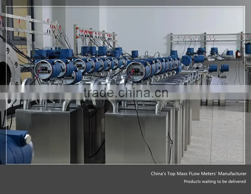 DMF-Series Mass Diaphragm Gas Flow Meter