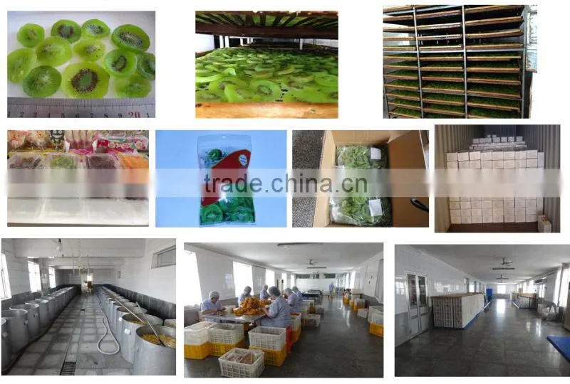 IQF frozen kiwi diced with good quality for sale