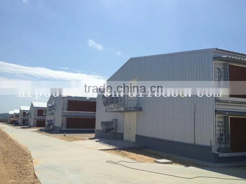 professional steel layer chicken cage equipments