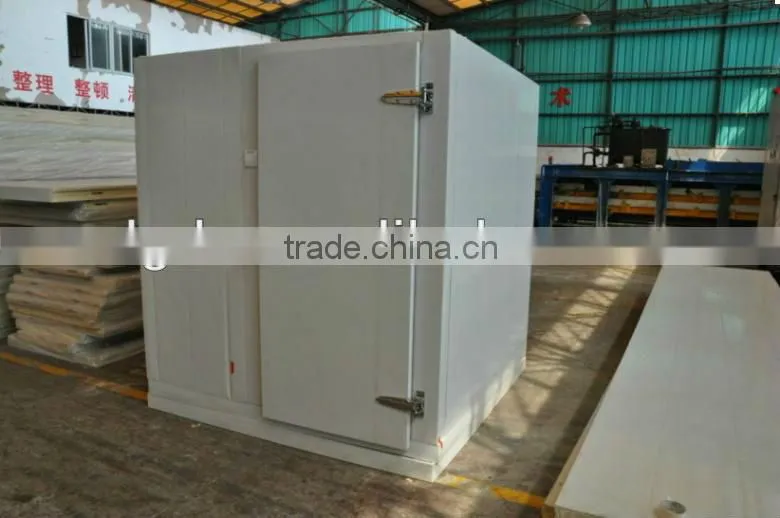 Polyurethane hinged cold room door cold storage door swing door