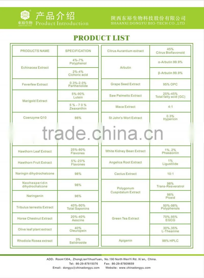 Organic Green tea extract for food supplements 98% /90%/ 80% polyphenols